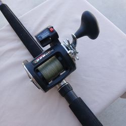 Fishing Pole & Reel 