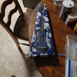Beginner Ukuele