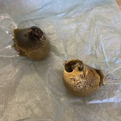 Authentic Birds, Used As Decor Or Paper Weight