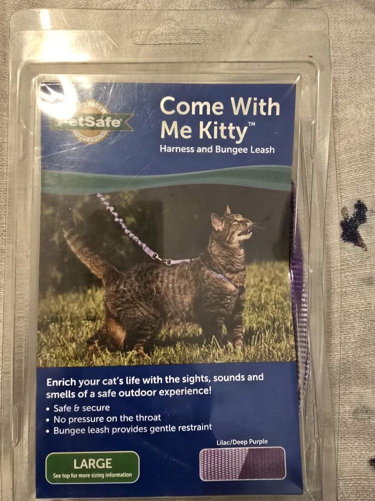 Come With Me Kitty Leash