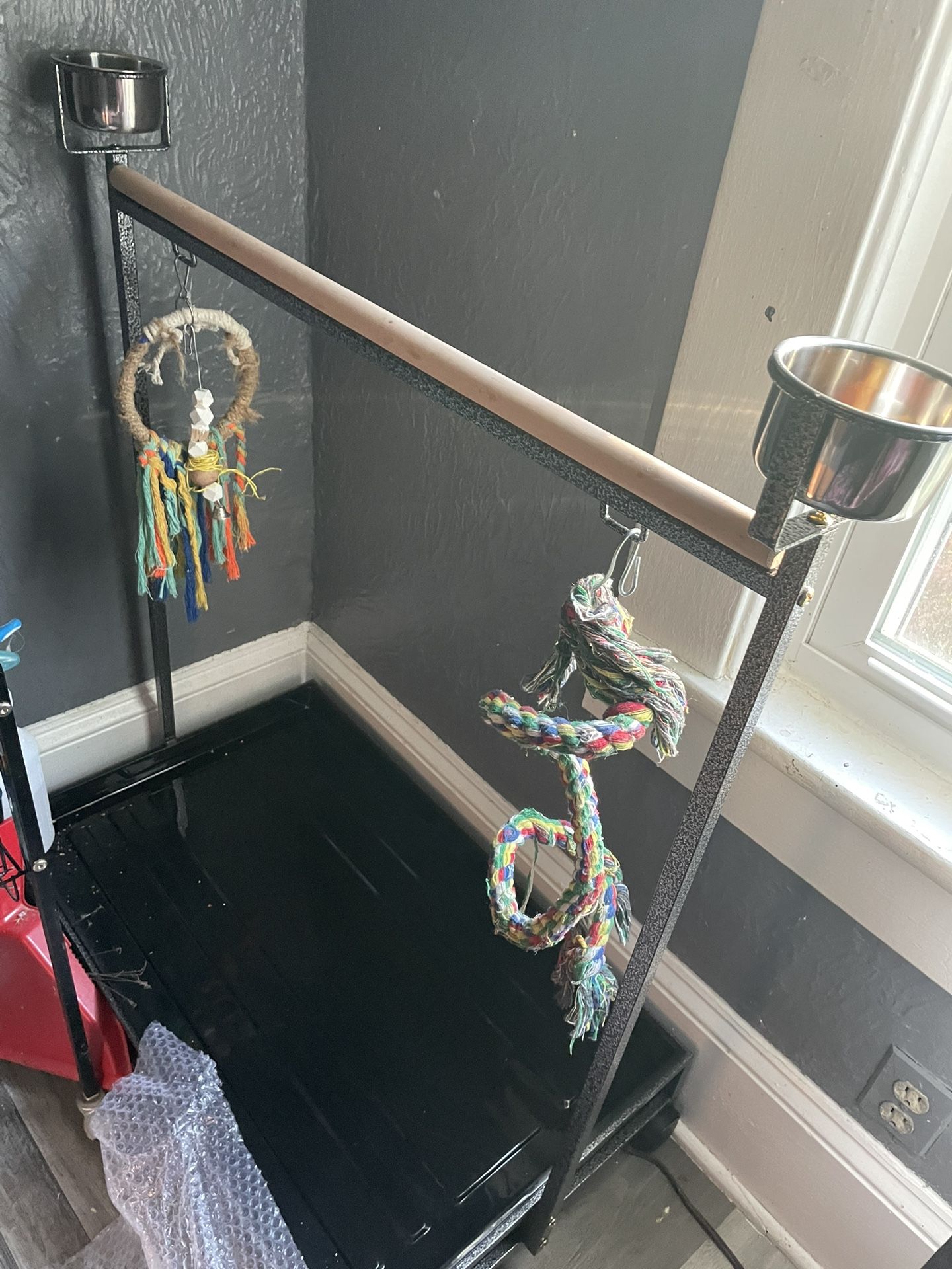 Stand Parrots