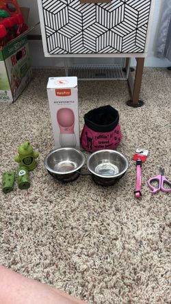 Small Female Dog Lot
