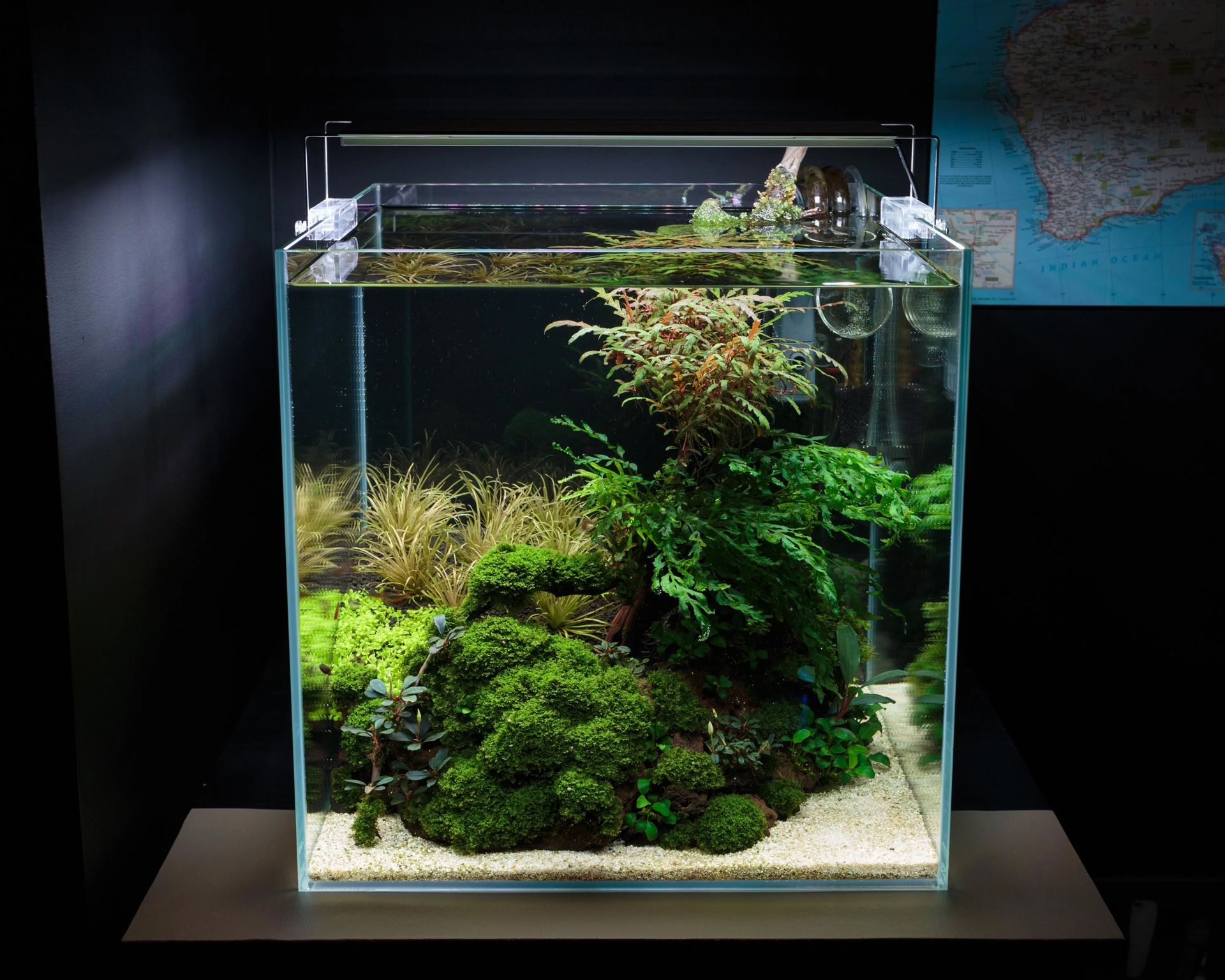 3 Gallon Cube Aquarium