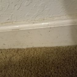 Base Board Cleaned