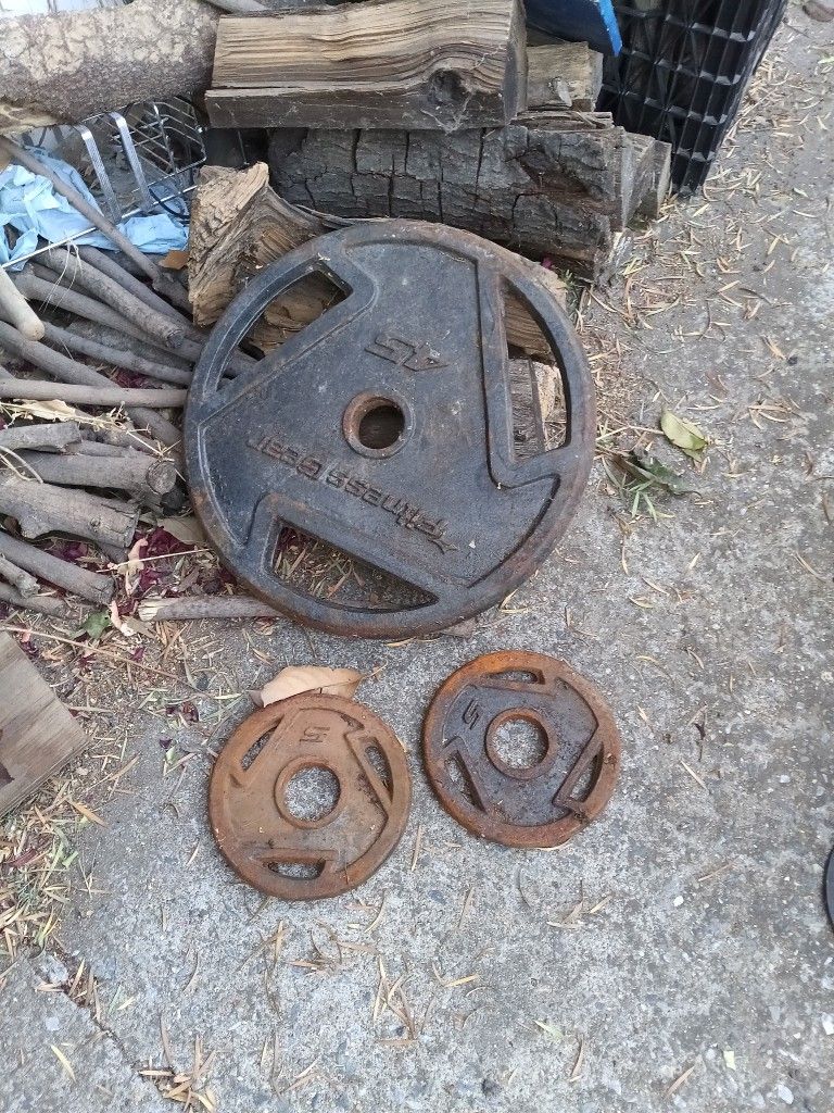 45lb and 5lb Olympic weight plates