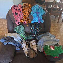 Lot of puppie clothes & extras
