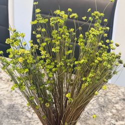 Nature dried flowers