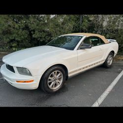 V6 Mustang 