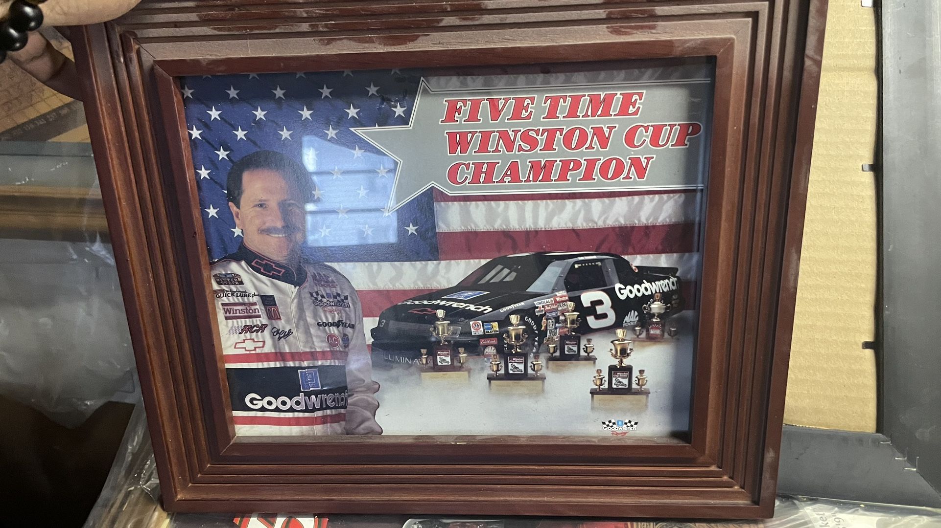 Dale Earnhardt Pictures