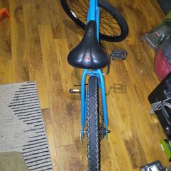 Blue Mountain Bike