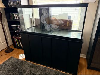 75 Gallon Fish Tank with Black Stand