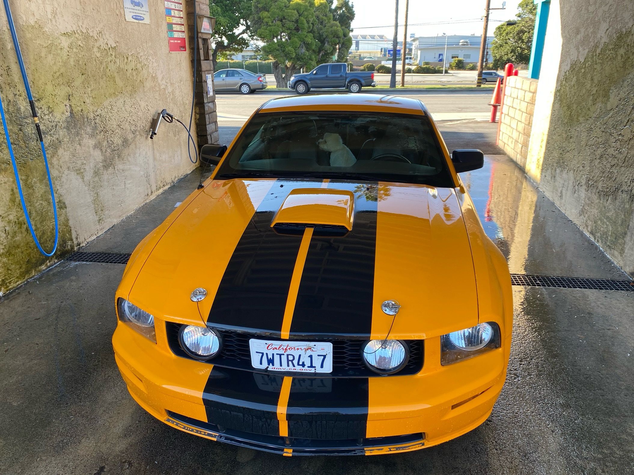 2007 Ford Mustang