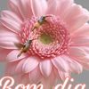Ambar