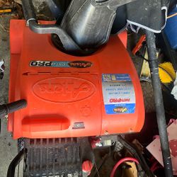 Ariens- Path Pro 