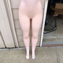 Bottom Half Of Female Manikin