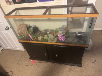 55 gal tank