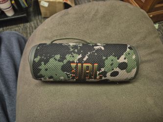 JBL flip 6