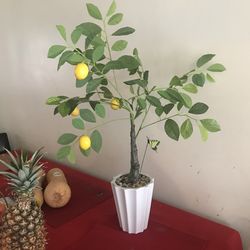 Home decor lemon tree