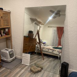 Large Heavy Duty Mirror Gym