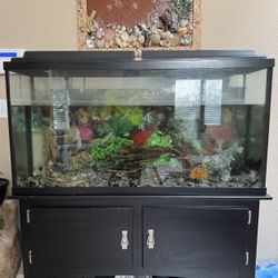 Fish Tank + Inside Decor Pieces