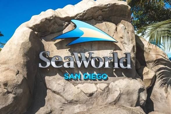 SEA WORLD 🐳🐋🦭🐬SAN DIEGO (4) TICKETS 🎟️ 🎟️🎟️🎟️ $180