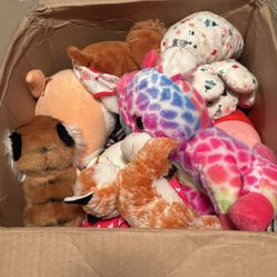 Box Of Radom Stuff Animals🧸