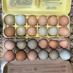 Fresh Hen Eggs