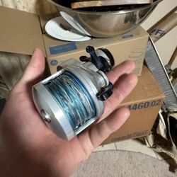 Accurate Tern 300 Reel