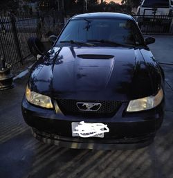 2000 Ford Mustang V6
