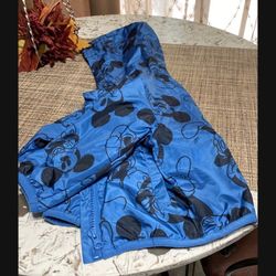 Mickey Windbreaker 18M