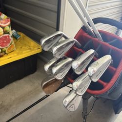 Mizuno Pro223 4-pw Gw 