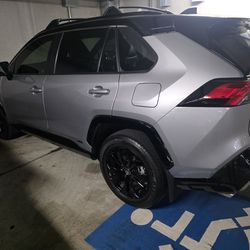 2024 Toyota Rav4 Hybrid