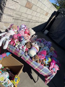 Take it no questions ask! Just today