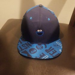 Seasme Street Kids Cookie Monster Special Edition 