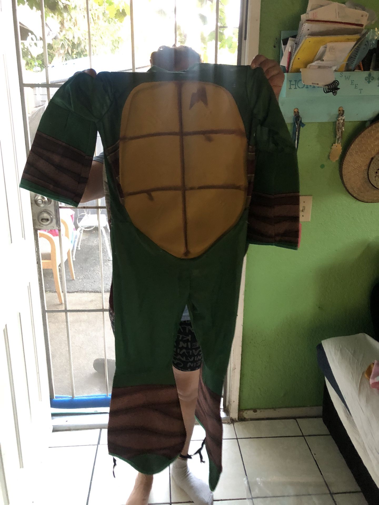 Ninja Turtle