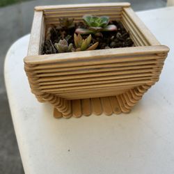 New Succulent Planter - 4.5" x 4.5 " x 3" tall planter
