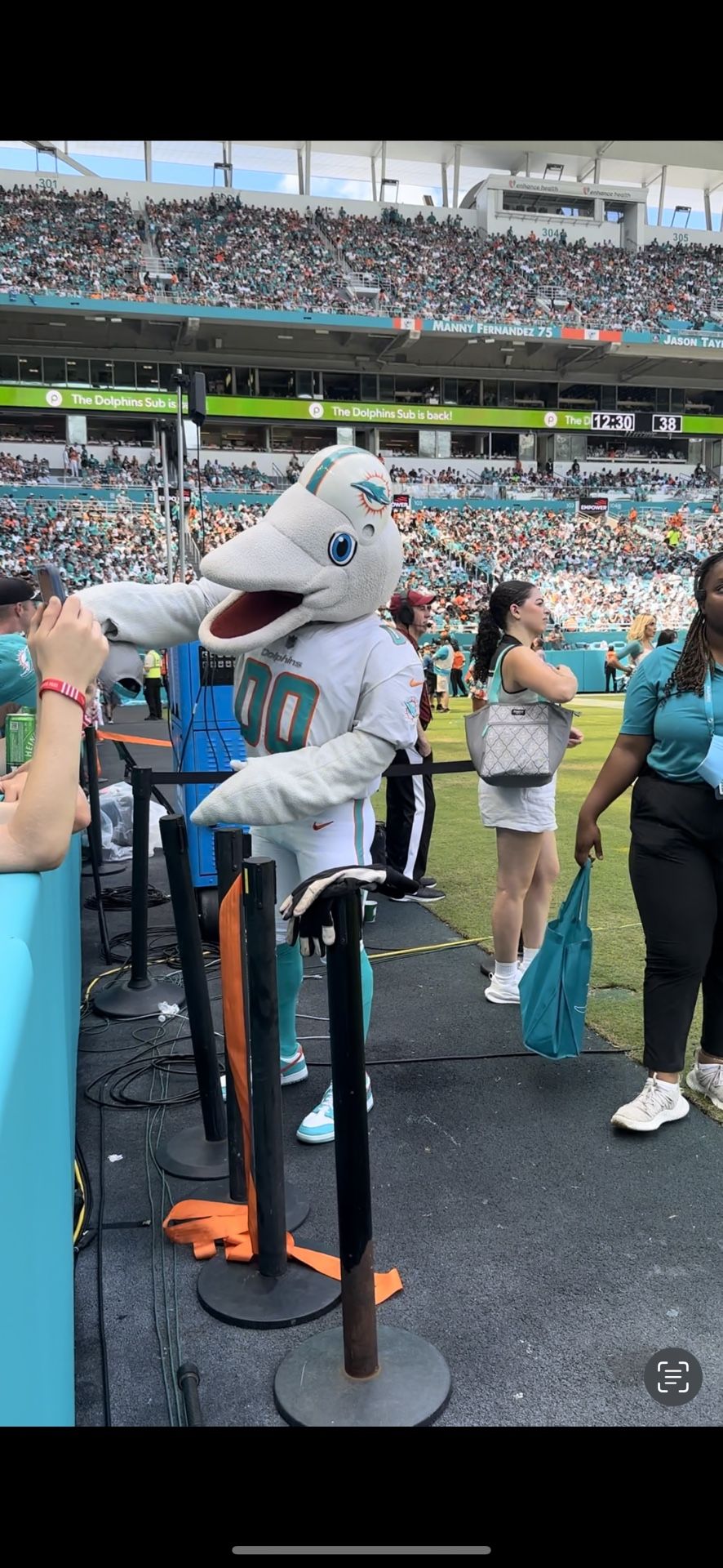 Dolphins Vs Titans On Field Sideline Access Passes 