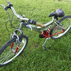 Brand New 24-in Bike Aluminum Frame