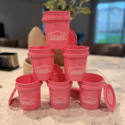 🩷🩷🩷Lowe’s Mini Pink Bucket 🩷🩷🩷