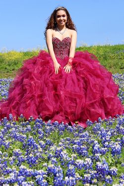 Quinceañera dress