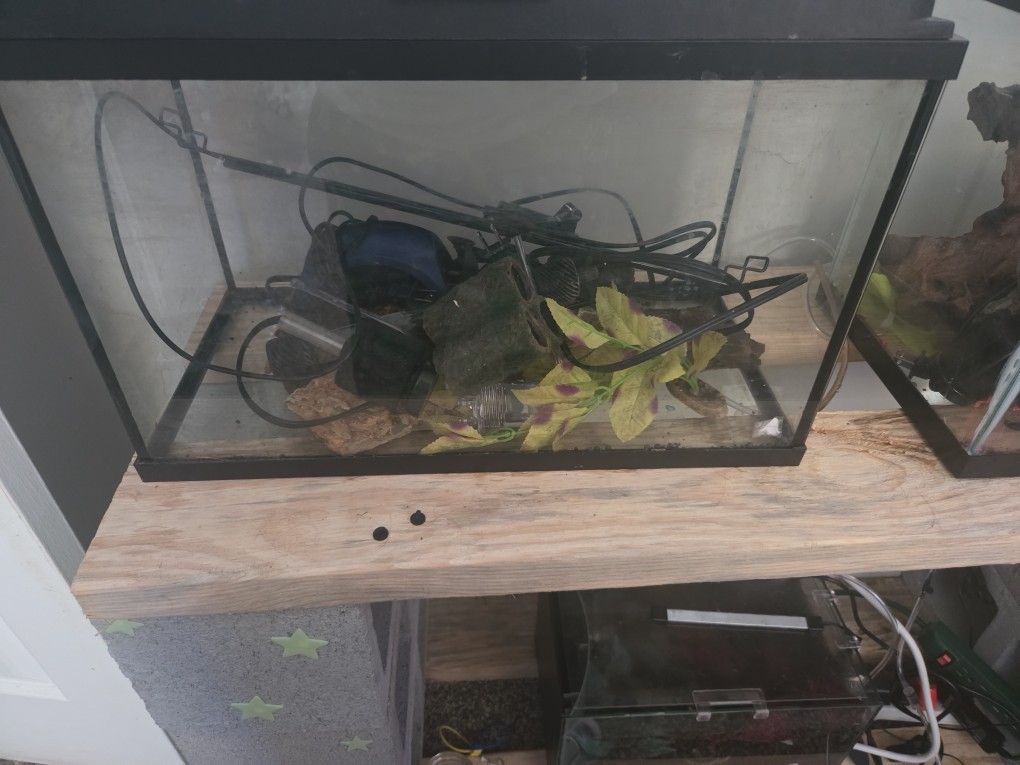 10 Gallon Aquarium Setup Complete