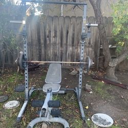 Exercise Equipment Weights And Bench 