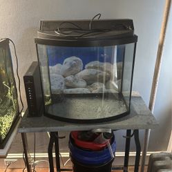 25 Gallon Bow Front With Lid Heater Filter And Gravel