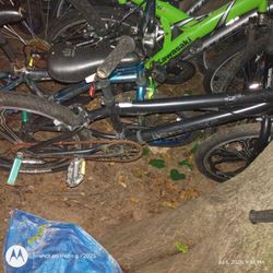 Mongoose bike