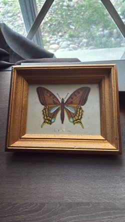 Decorative butterfly picture frames