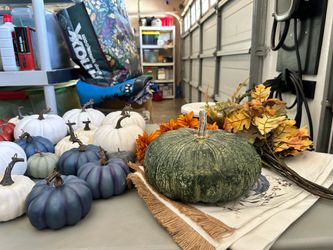 Autumn pumpkins