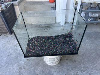 Fish Tank