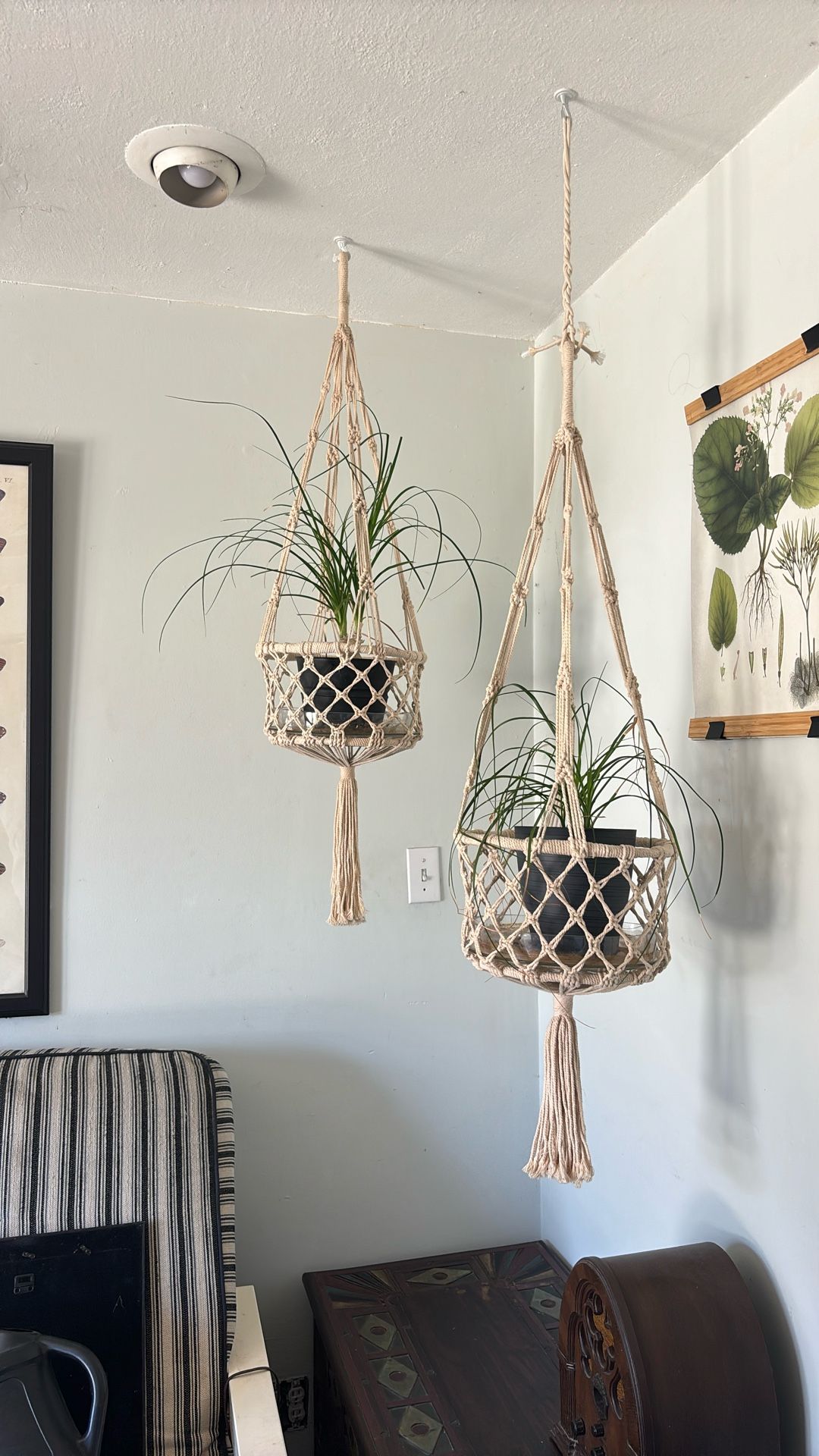 Macrome plant holders(3 total)