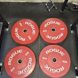 55lb Rogue Color Echo Bumper Plates (Pair)