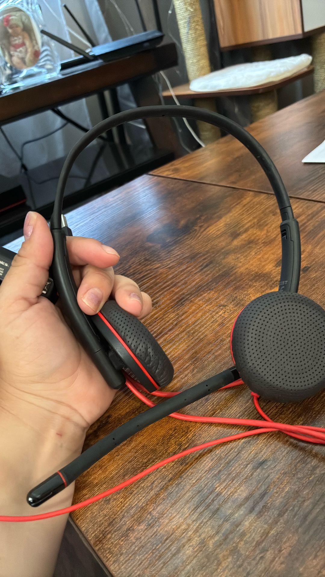 Earphones New 